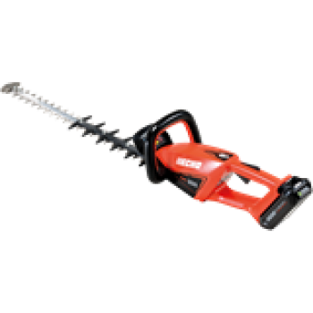 DHC-200AL mit 2 Ah Akku und Schnellladegerät